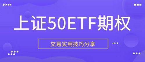 如何在鱼平台上开启直播实现盈利？步骤详解