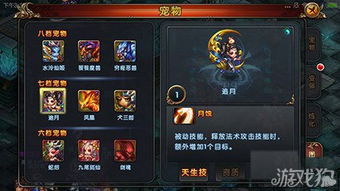 御剑奇缘中如何高效养宠物实现盈利攻略？