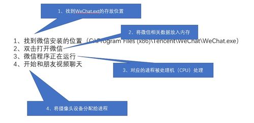如何安全高效开展驱蛇副业？完整操作指南详解