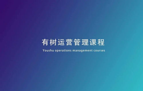 如何通过实战经验总结出高效的挣钱心得？