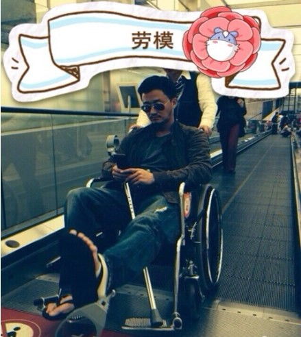 狼坐轮椅的微信图片是真是假？探究狼的坐姿图片背后真相？