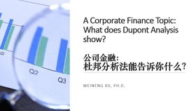 在深圳，哪家银行最能帮你实现财富增长？