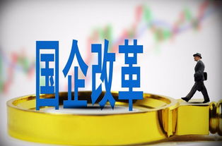 在选择投资行业时，哪个领域更易实现财富增长？