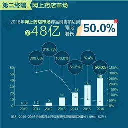 县城如何通过网络销售药品实现盈利？