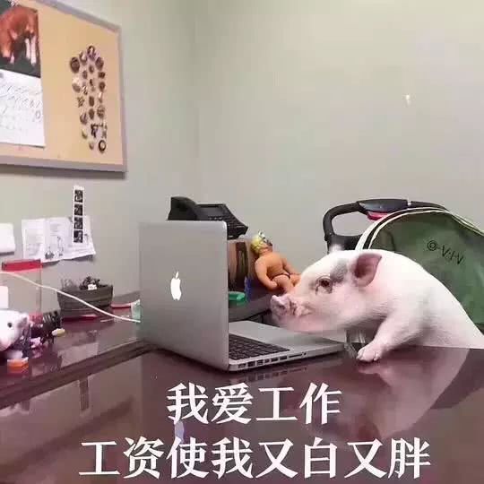 同事都在偷偷搞副业？他们的第二职业究竟是什么？