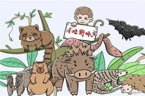 你知道如何给宠物喂食还能赚钱的副业叫什么吗？