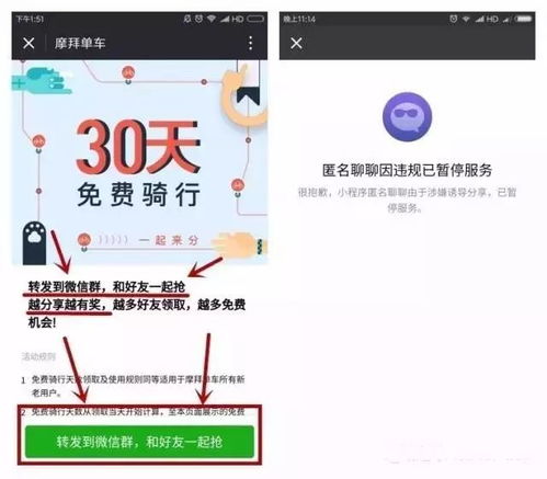如何通过点我98广告任务网获取客服电话支持？