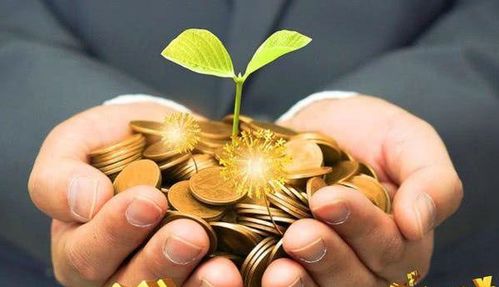 如何在唯一艺术平台上选择最具盈利潜力的艺术品？