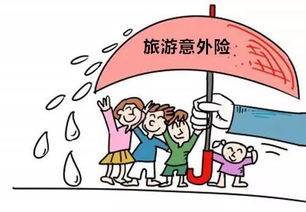 金利保险副业真的值得推荐吗？它的优势和风险你知道吗？