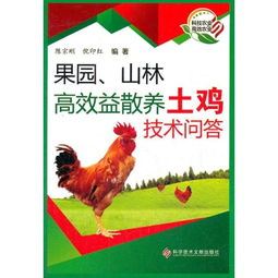 家禽养殖如何成为高效益的挣钱途径？