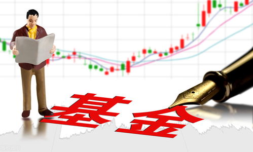 买基金与投股票，哪种方式更易实现财富增长？