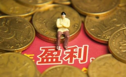 云喇叭项目真的能轻松盈利吗？它的赚钱效果究竟如何？