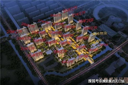 大学生如何通过卖饭团实现盈利？
