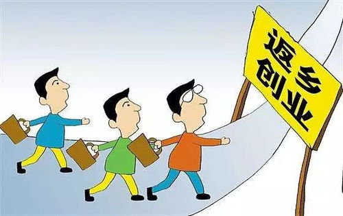 农村创业有哪些赚钱途径？新手如何快速上手？