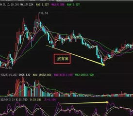 股民如何在市场中稳步获利，实现财富增长？