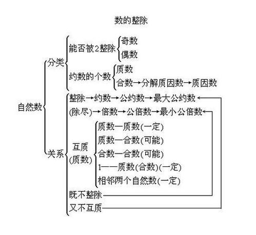 小数究竟属于自然数还是整数？数学分类大探讨