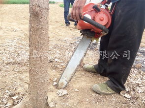 兼职植保机真的能高效替代人工吗？它的实际效果如何？