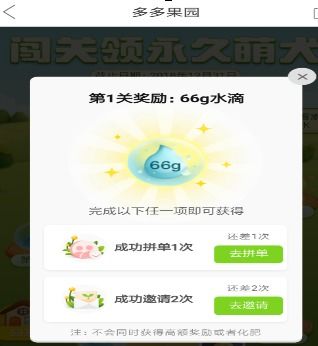 如何在拼多多平台通过养狗实现盈利？