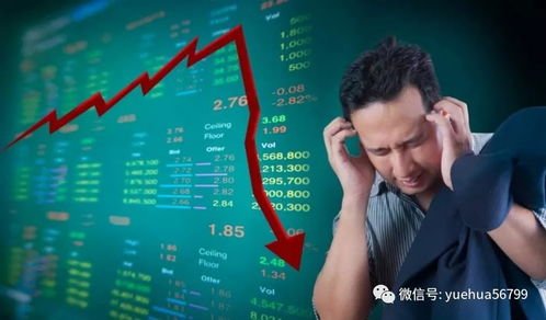 当前市场哪些玩具最具盈利潜力？如何把握赚钱机遇？