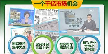 室内除甲醛服务真的能赚钱吗？贴吧热议真相揭晓