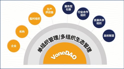 如何通过抱团合作实现高效盈利？