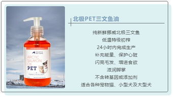 夏日海滨商机何在？卖什么才能赚得盆满钵满？