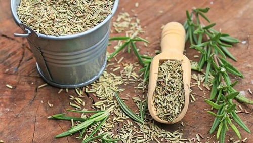 哪些农作物最具盈利潜力？种植什么能赚钱？