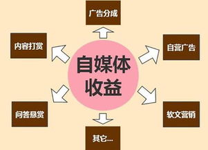 湖北农妇转型自媒体，能否实现稳定收入？