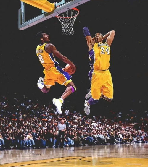 NBA球星们除了篮球还涉足哪些副业领域？