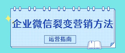 如何运营头条号实现盈利？高效变现策略全解析