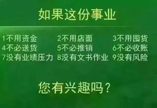 投身竹妃事业，真的能实现财富增长吗？
