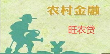 农村演出真的能赚钱吗？揭开背后的经济效益之谜