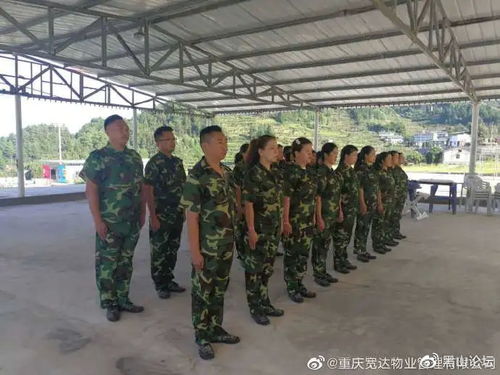 恒博物业军训效果如何？参与者真实体验分享