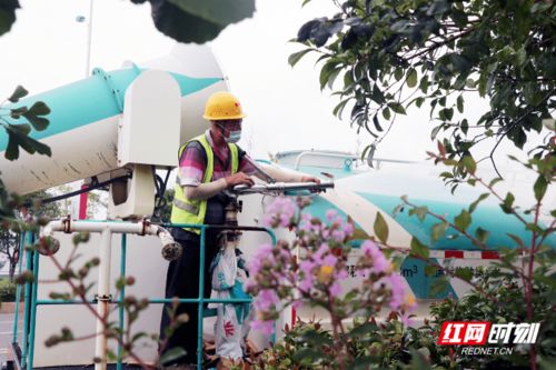 园林绿化浇水工作真的能赚钱吗？
