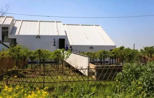 苏州村上湖舍与柳舍的住宿价格如何？深入了解两地民宿费用详情一览