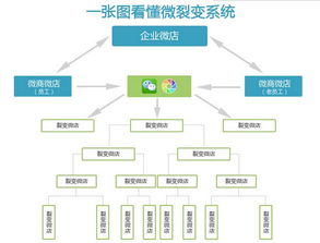 如何构建高效运行的工厂分销代理系统以提升市场竞争力？