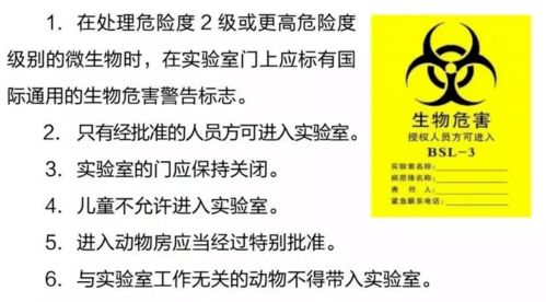 生物研究生如何巧妙兼顾副业与学业？