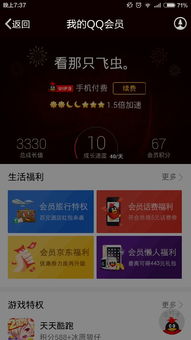 QQ会员刷取服务真的能享受永久权益吗？