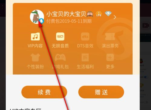 QQ音乐付费音乐包能否安全刷取？操作安全性深度探讨