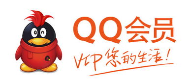 为何刷QQ会员手机短信频繁遭遇无法接收的困境？