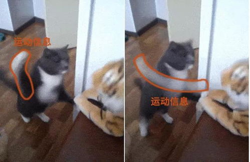 QQ动态屡次刷新失败，是何原因导致卡顿不断？