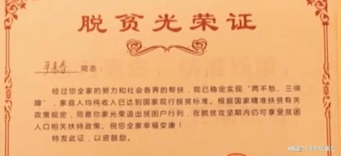 农村青年如何踏上明星之路实现财富增长？