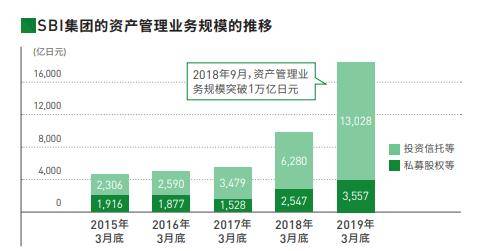 如今哪些个体经营项目最具盈利潜力？