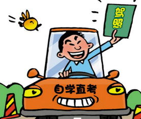 如何选择学习方向才能实现财富增长？