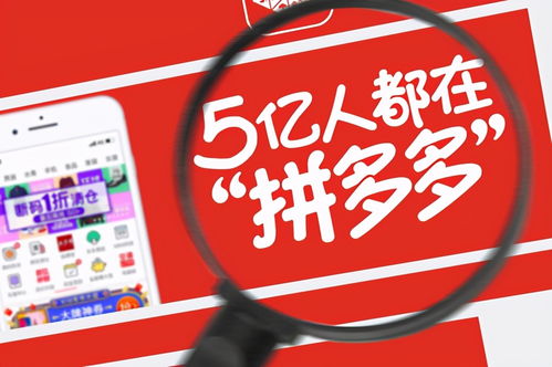 如何在QQ上参与拼多多砍价活动？