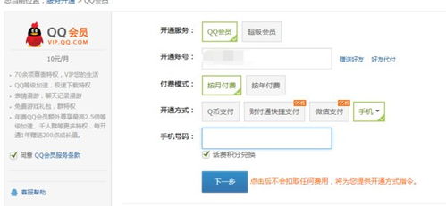 哪些网站能长期稳定刷QQ会员？可靠的选择有哪些？