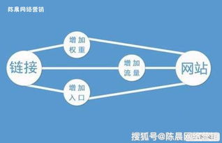 如何快速提升QQ动态浏览量？刷浏览次数的技巧是什么？