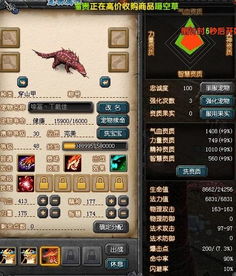 QQ三国西羌豹搭配什么宠物刷副本最效率？