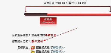 进行QQ会员的盗刷购买是否构成违法？