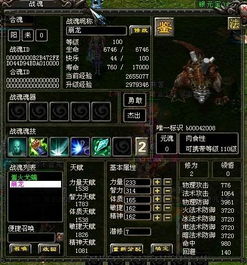 QQ华夏哪个角色刷校场最强？什么角色最好玩？